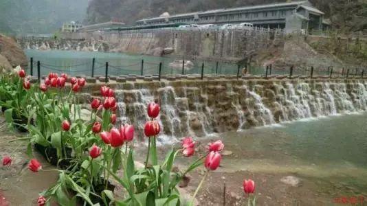 汽油到发动机里面增高一公分还能开吗？游戏画面